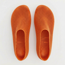 FORM